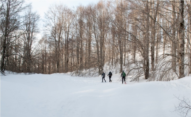  pequeños en la nieve 