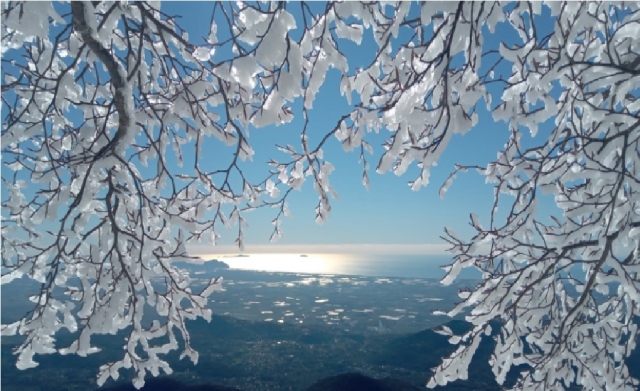  ramas encantadas de frosinone 