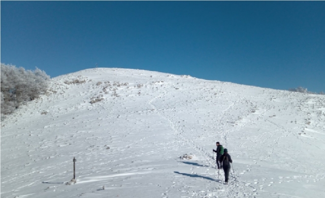 con raquetas de nieve en Frosinone 