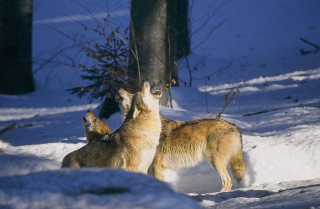  Encuentros durante nuestras excursiones