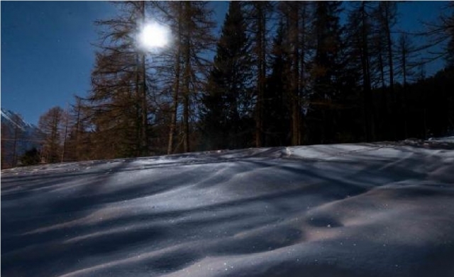  nieve brillanle 