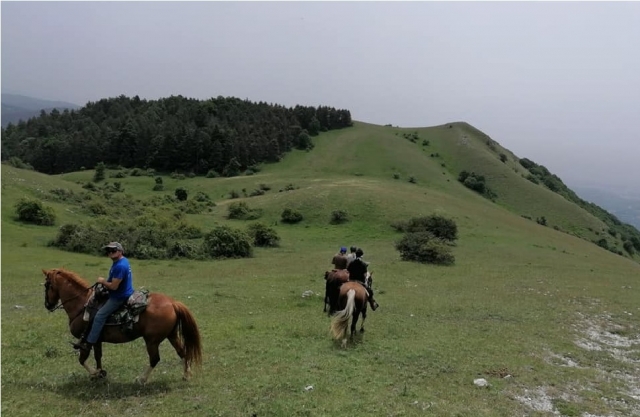  caballos y bellos momentos en rieusted 