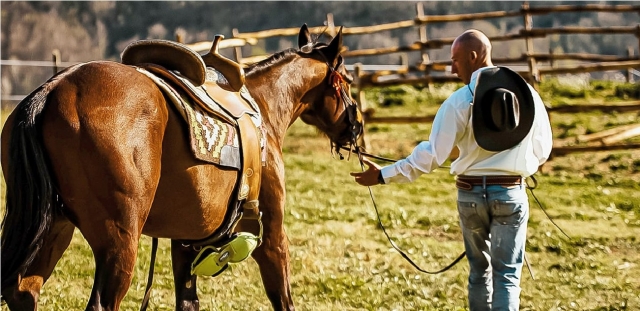  caballos mejores amigos 