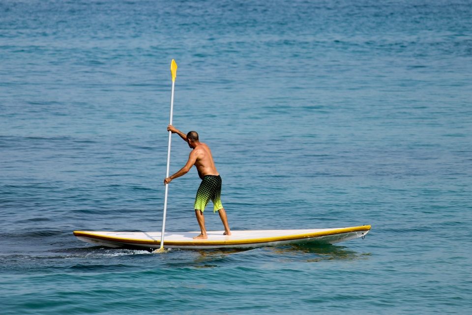 Actividades de sup 