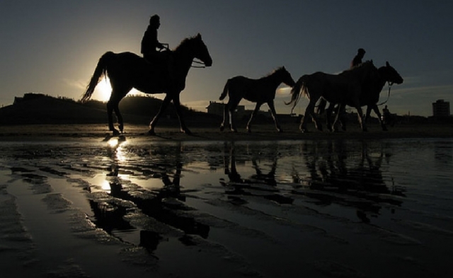  subir a caballo en brindisi 