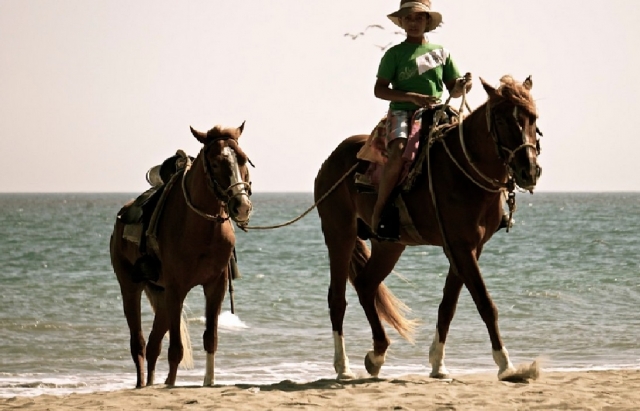 niños con caballos 