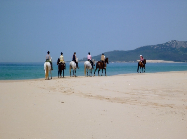 subiendo cerca del mar 