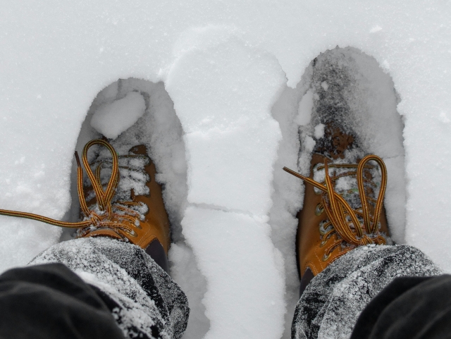  Pies en la nieve