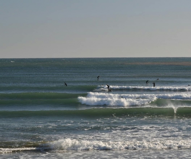 nos encanta la lección de surf 