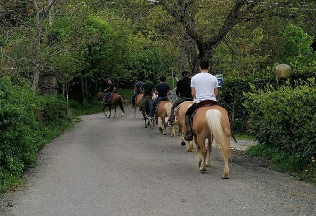 centro ecuestre sestolese