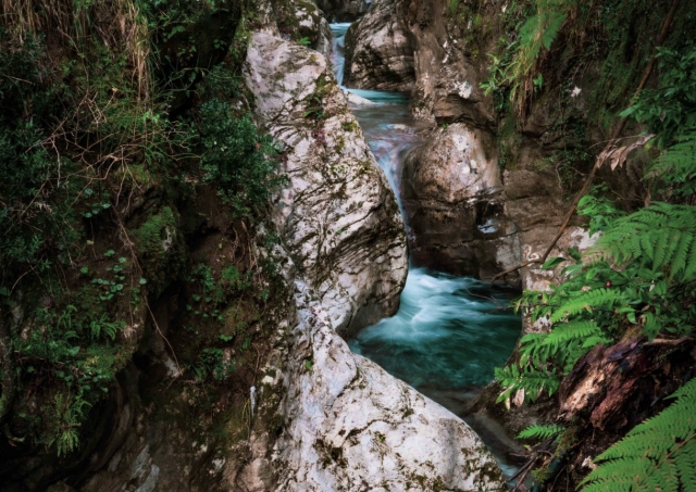  vistazo al arroyo