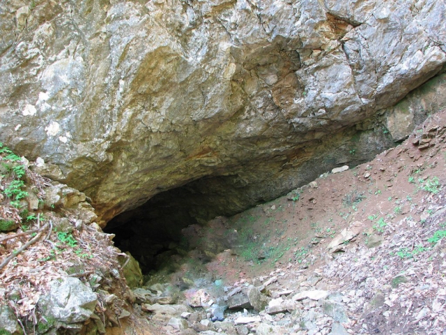  la guarida de los gritos 