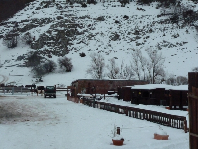  la escuela de equitación con nieve 