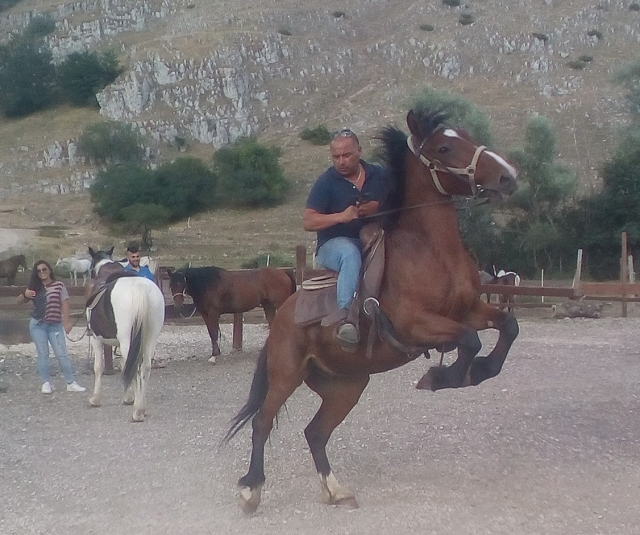  aprende con nuestro instructor 