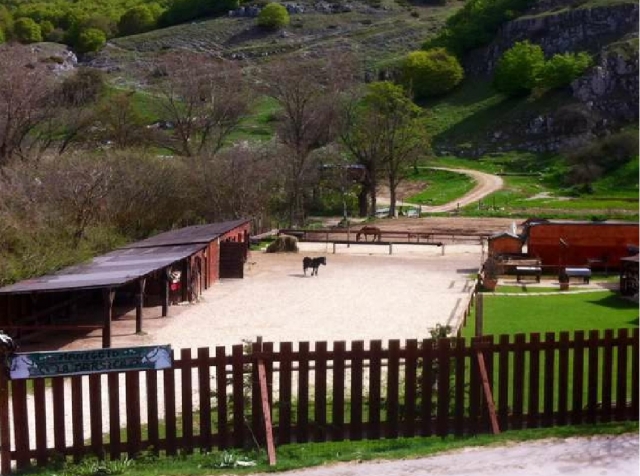  escuela de equitación llena de colores 