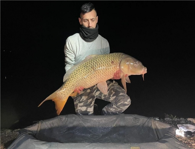  pez giganle del lago del jardín 