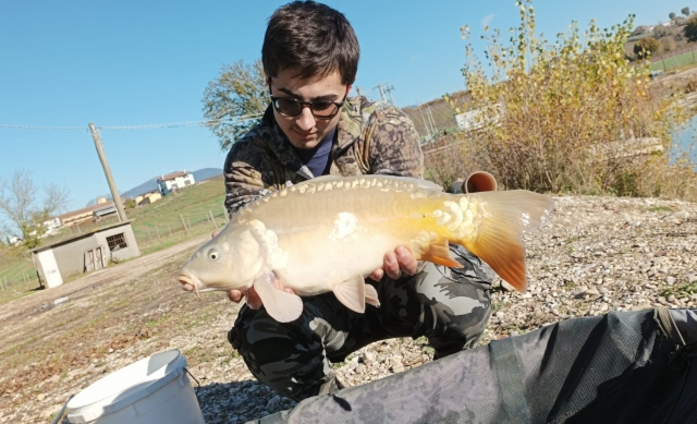  vamos pescado en narni