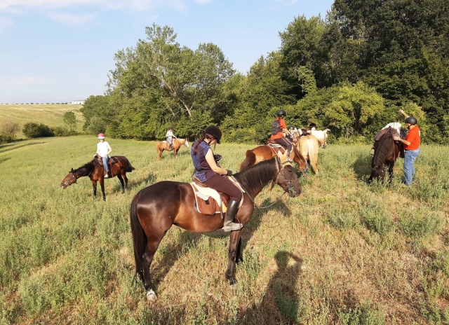  aprendamos a tramarrar con caballos 