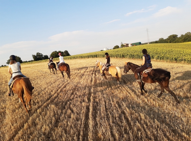  aprendamos juntos las técnicas de equitación en Parma 