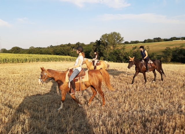  explorar la provincia de Parma a caballo 