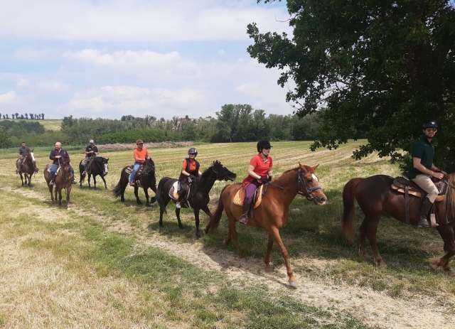 vamos a explorar el paisaje de Parma 