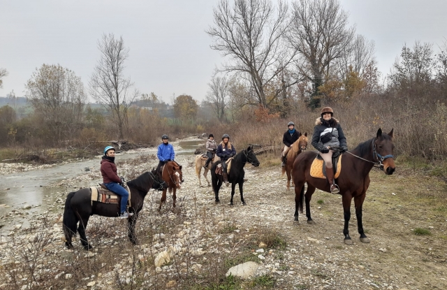  sonrisas y caballos en Salsomaggiore 