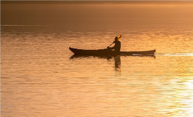  remar sobre la bocina 