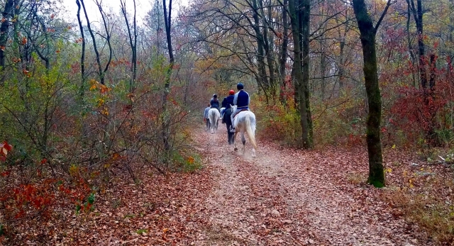 paseo en varisella con caballos