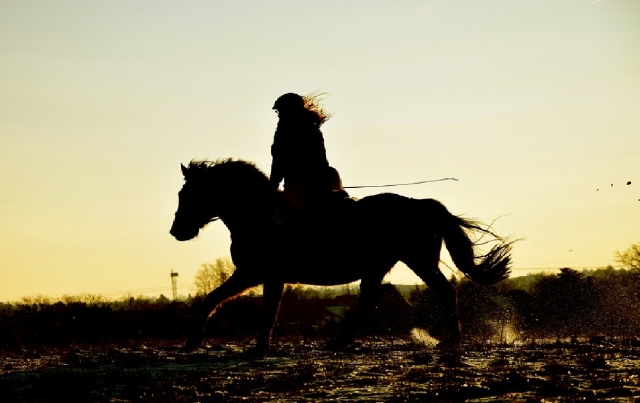  la sombra del caballo 