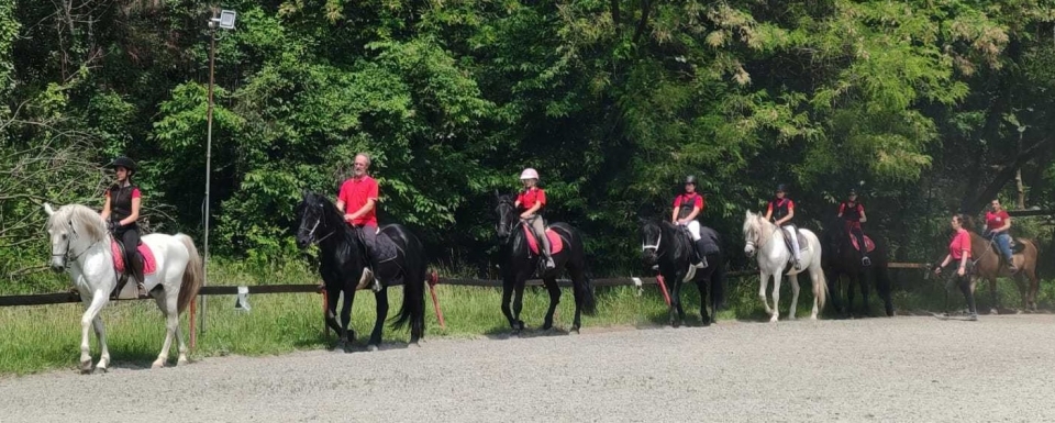  muchas experiencias con este caballo varisella 