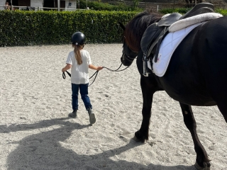 Clases de equitación en Génova 1H