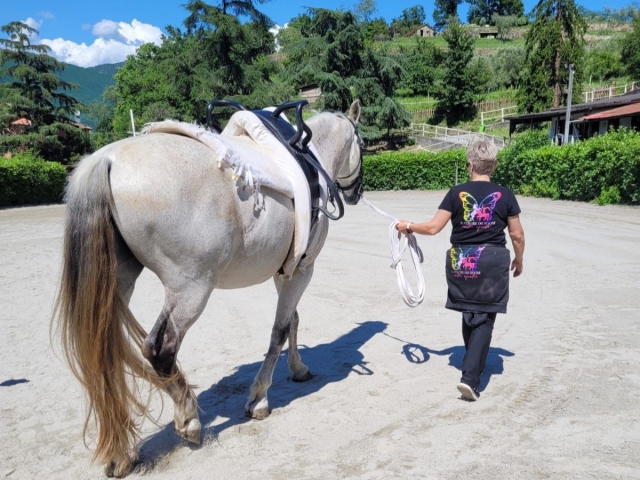  Lección en el departamento 