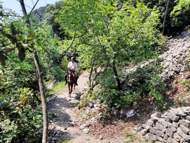 Paseo a caballo por el lago de Garda 1h30