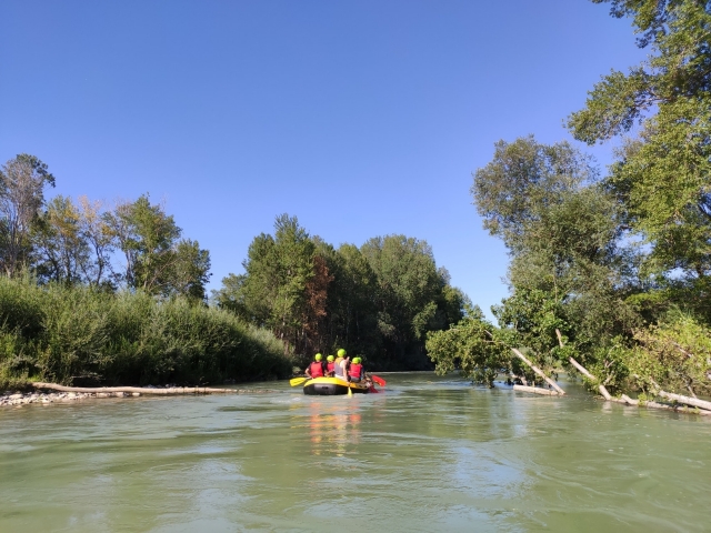 actividades de rafting para niños 