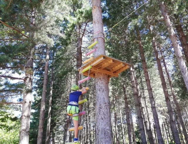  escalada de árboles en sersale