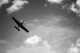 Vuelo en Avioneta Alessandria