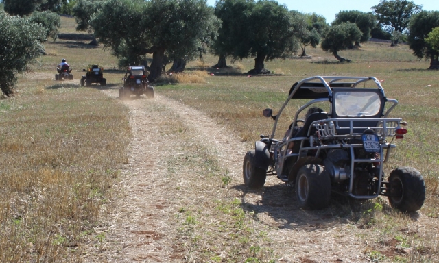  hagamos buggy en la provincia de Bari para divertirnos 