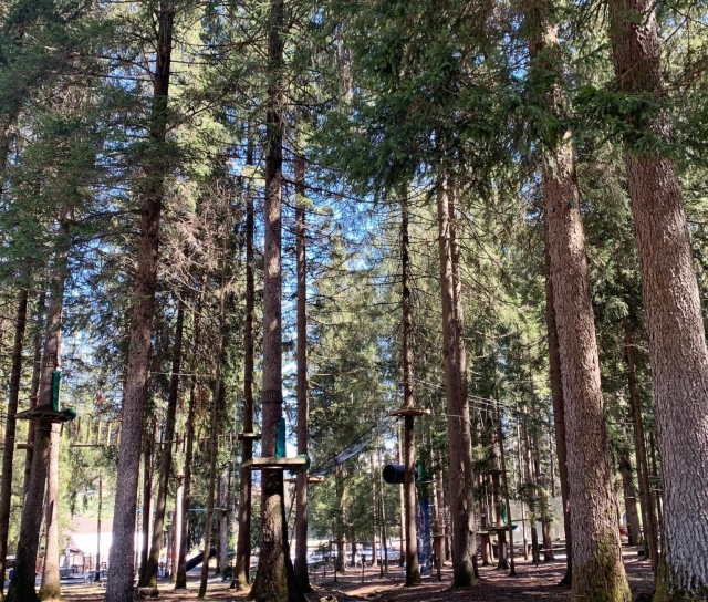  El parque de aventuras