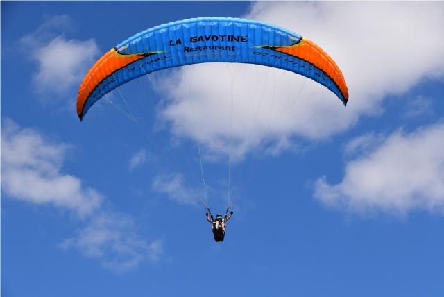  vuelo para ses libres