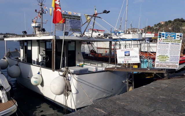 excursión en barco 