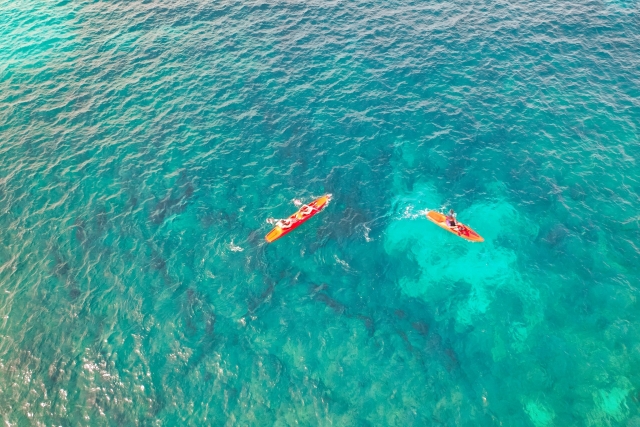  kayak para todos en Monopoli 