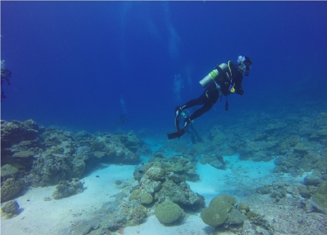  exploración del fondo marino 