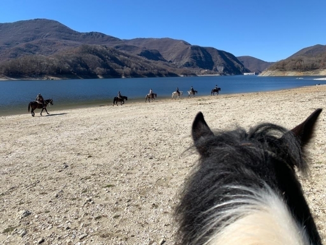 al lago 