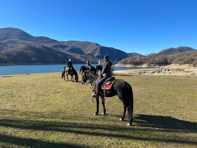  paseo en silla de subir 