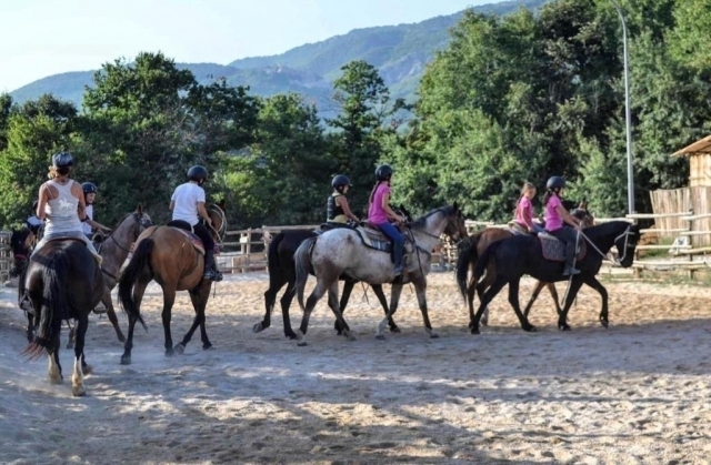  todos en el campo 