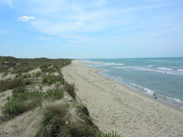  Playa de Gombo