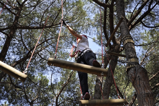  trepando al árbol 