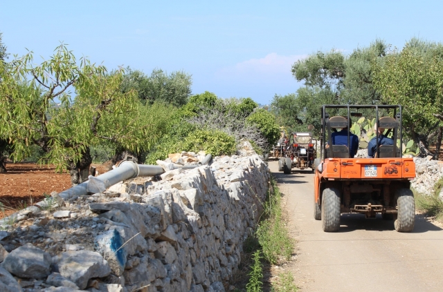  en buggy en el campo de Apulia 