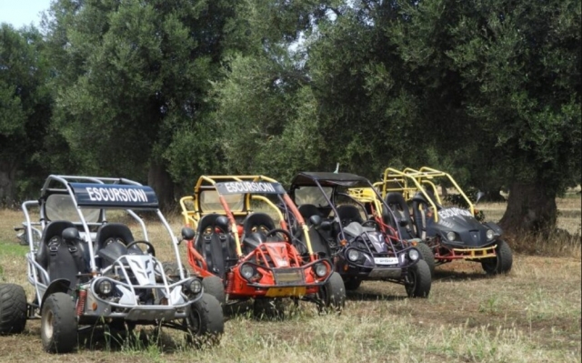 excursión en buggy