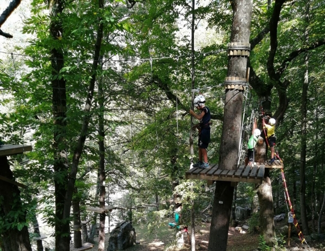 ruta en los árboles 